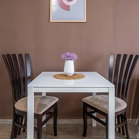 Cozy Homes 2 公寓 索菲亞